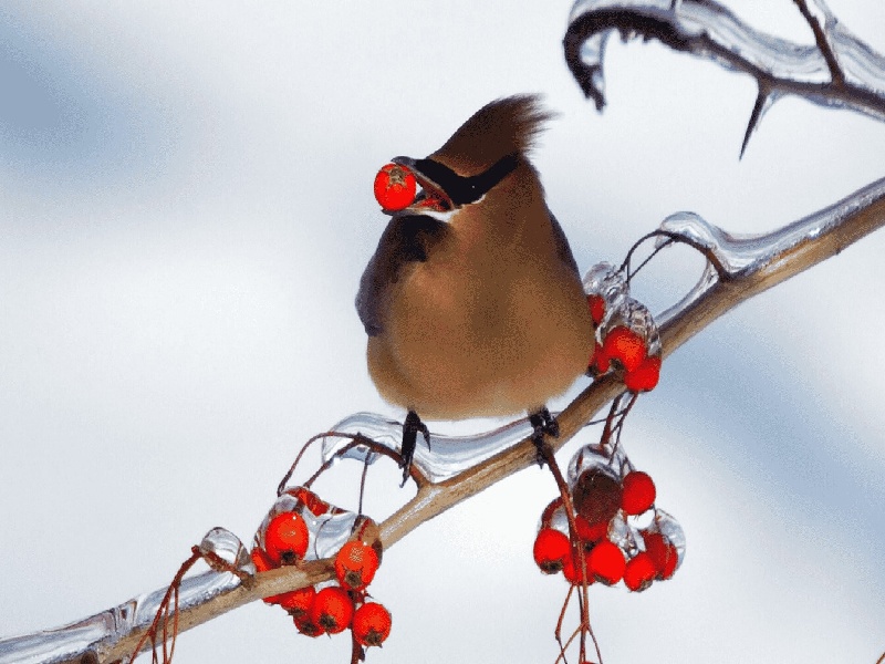 福州哪可以代怀,福州武汉做试管婴儿费用多少（试管套路有哪些）