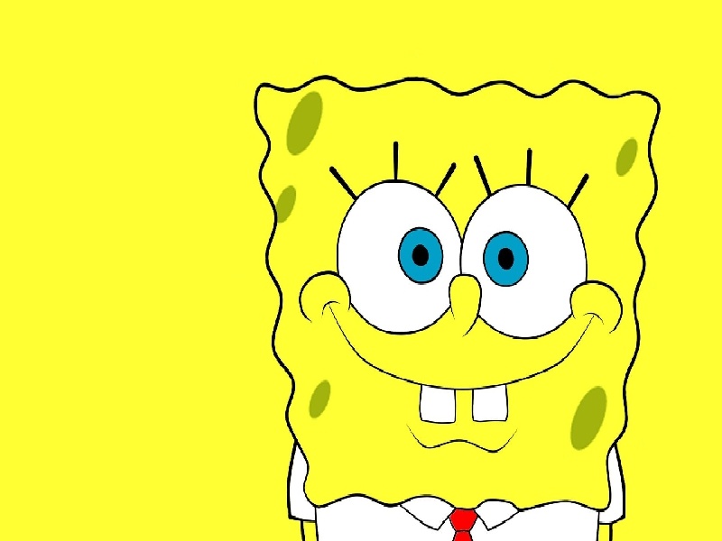 福州水培试管架（试管的取用操作）